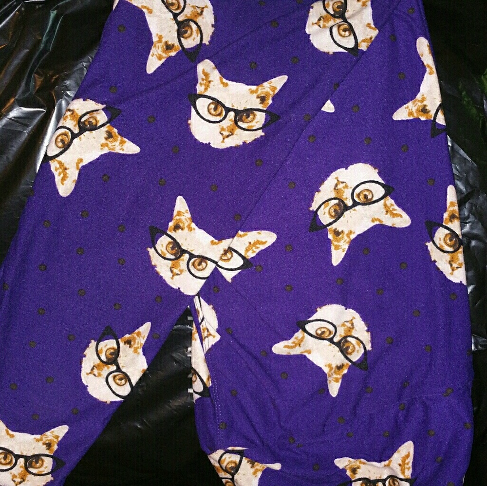 TC smart kitties